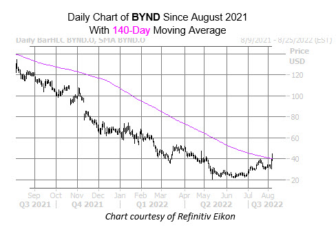 bynd aug 8