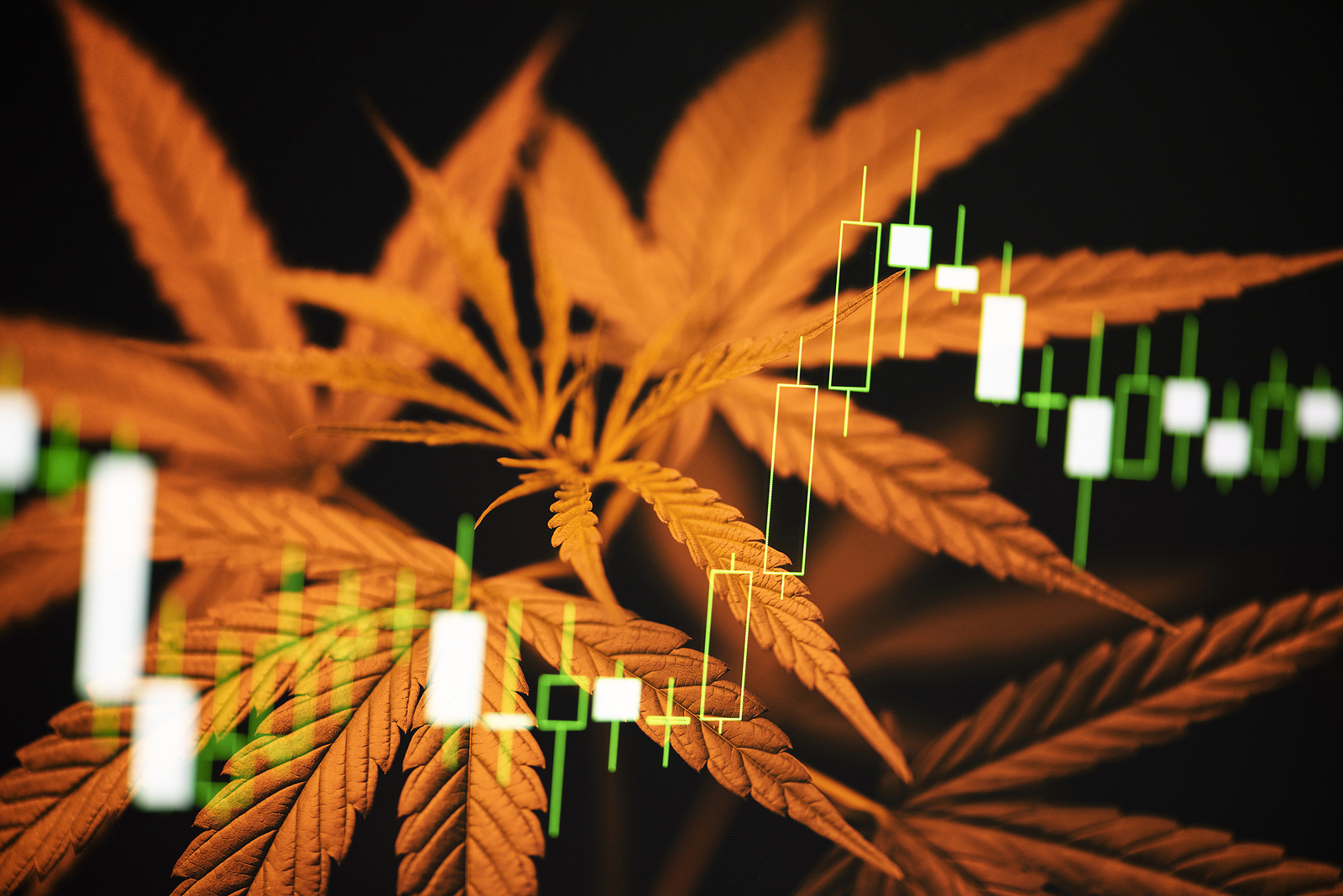 Cannabis stocks on chart