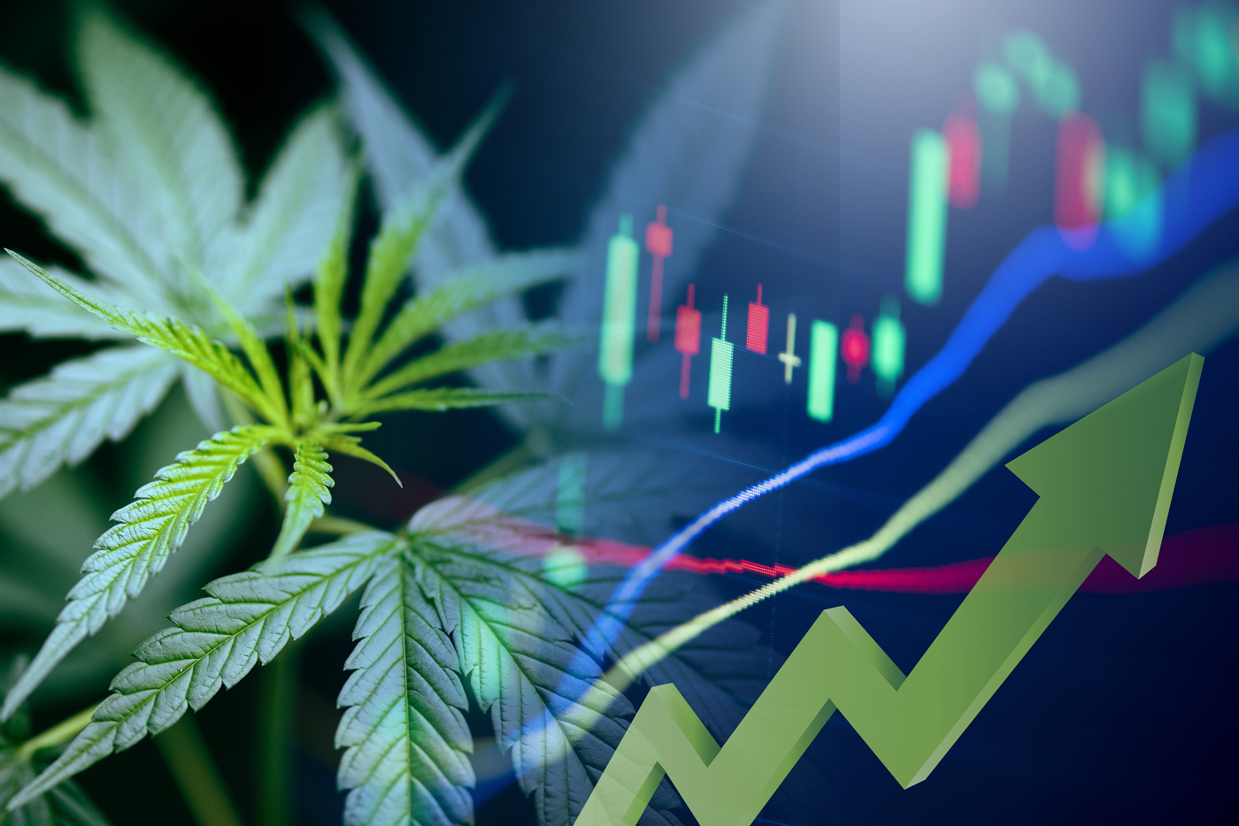 Cannabis stocks, marijuana stocks, pot stocks