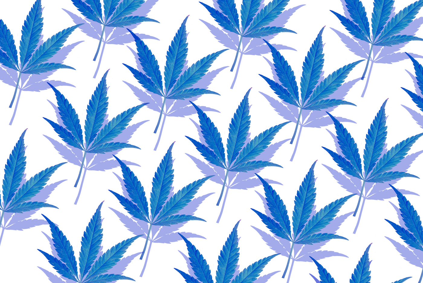 Cannabis stocks, marijuana stocks, pot stocks, CBD stocks