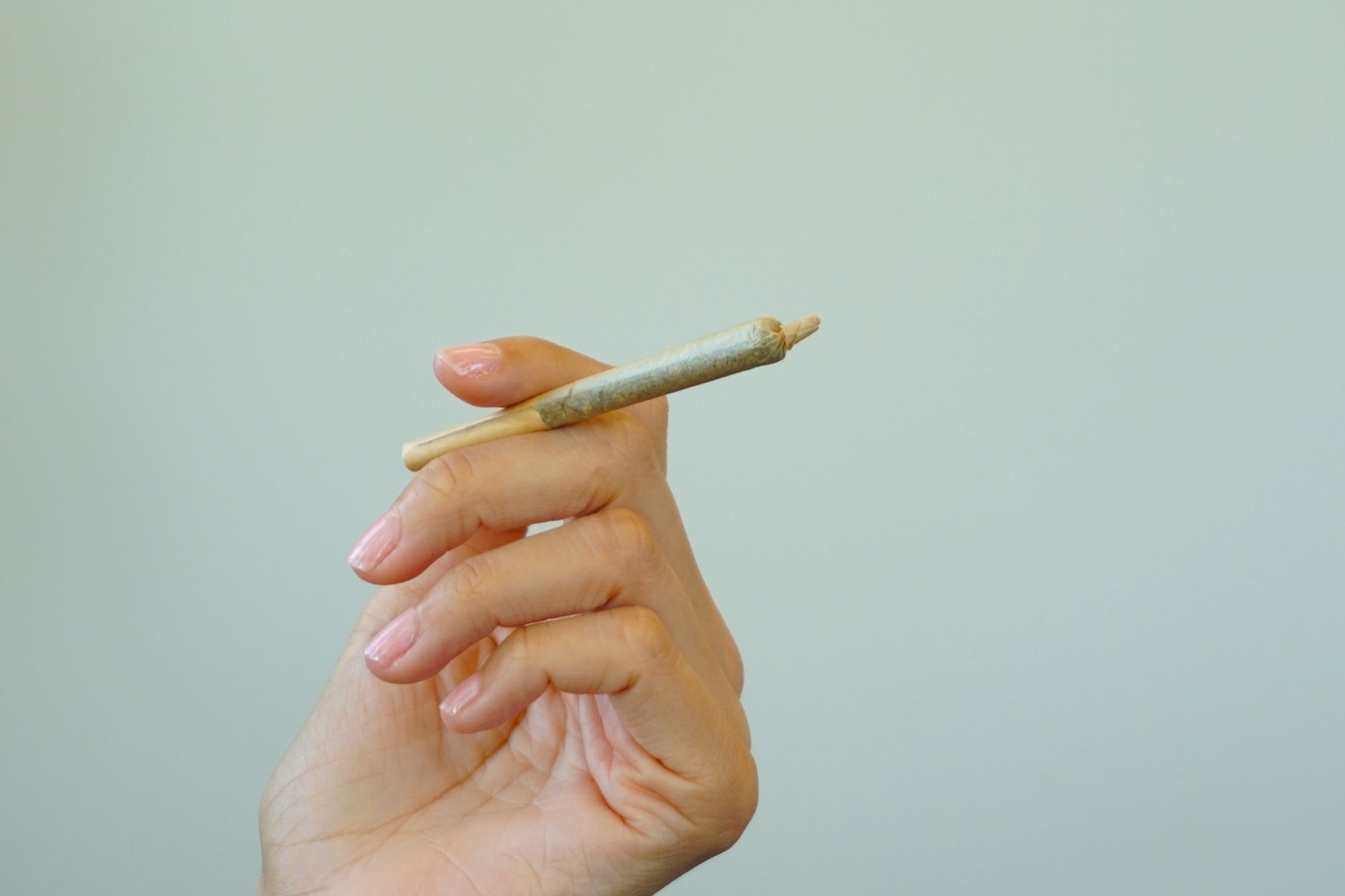 Cannabis stocks, marijuana stocks, pot stocks