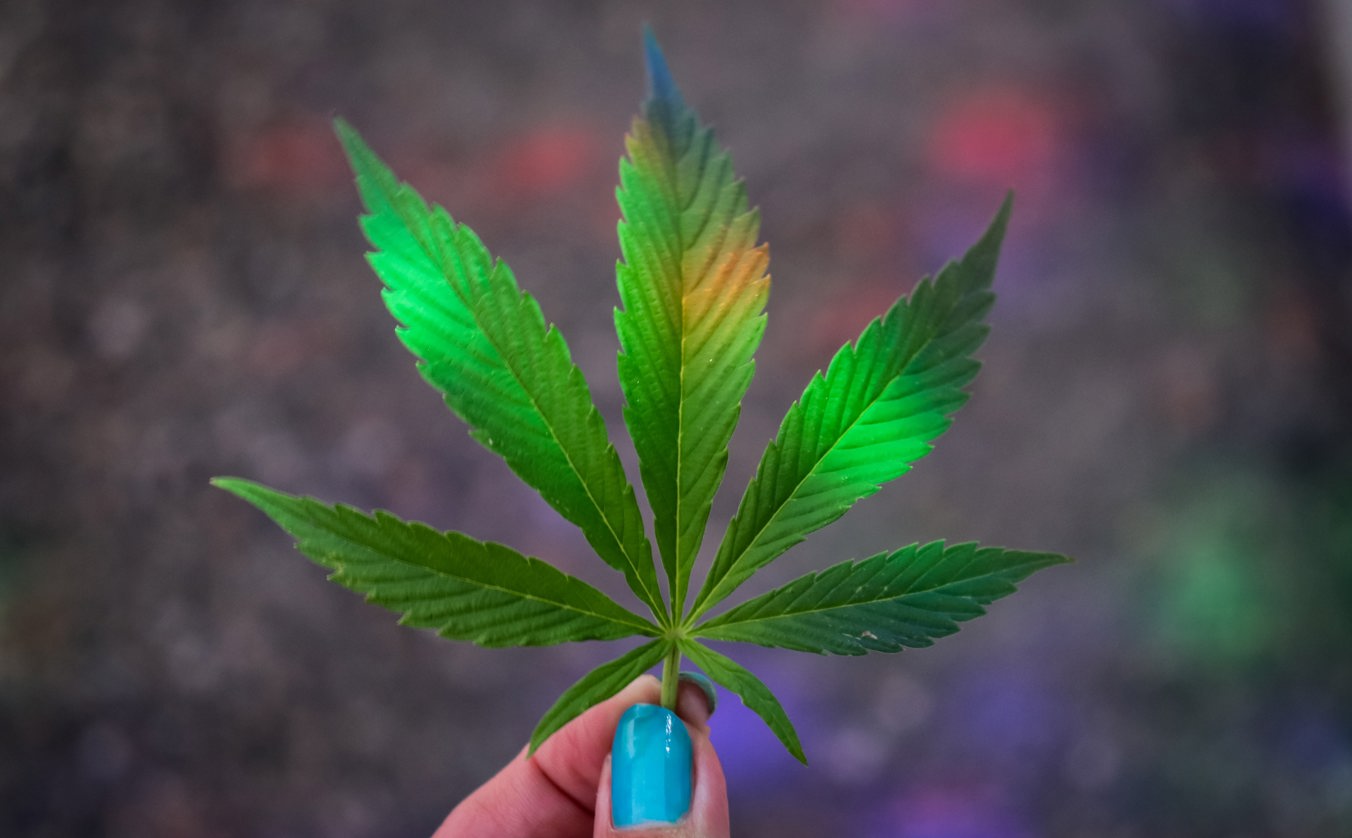 Cannabis stocks, marijuana stocks, pot stocks