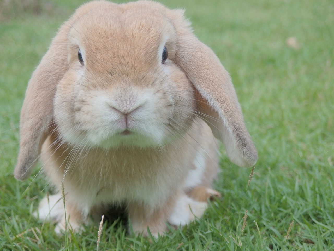 Stock market is closed on Good Friday and Easter