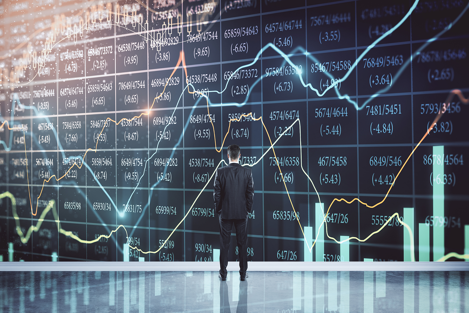 Investor looks at huge graph