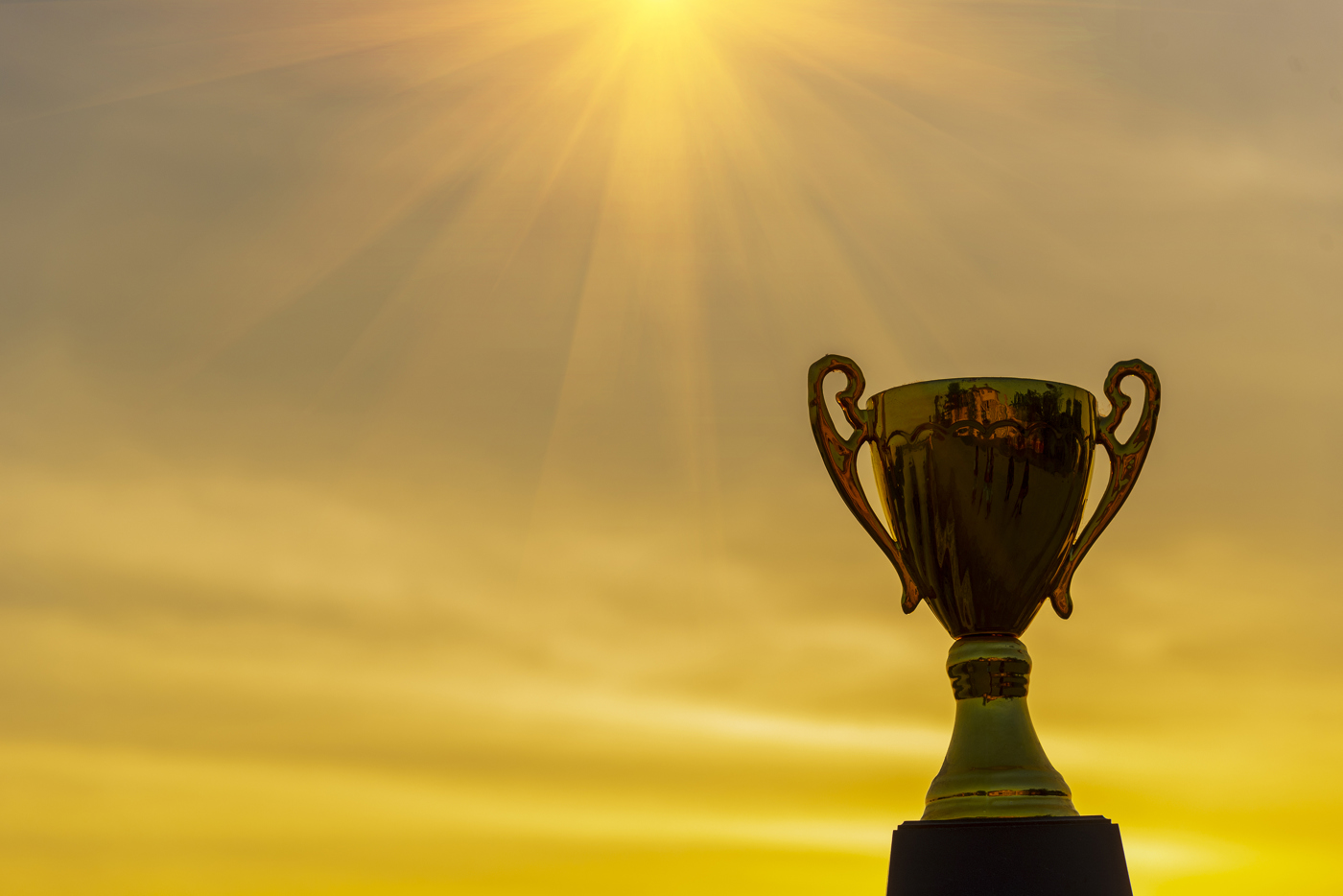 Award winning, win, champion, success